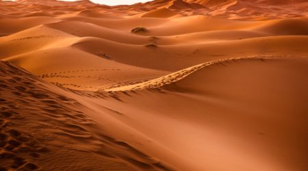 夢占い－砂漠の夢は何を意味するのか？