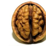 あなたの脳は大丈夫？認知症を防ぐ方法について