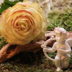 エンジェルナンバー「37」の意味とは？天使はあなたに何を告げようとしているのか？