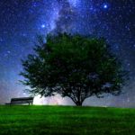2019年を占う12星座の物語4【蟹座の神話】