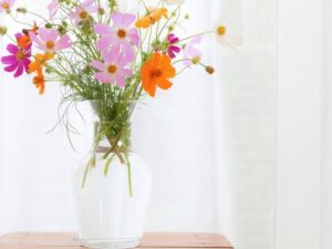 【風水】火・土・水を整えて健康運上昇！今日からできる運気アップ法