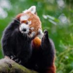 胸・頭・眉毛・顎・鼻がかゆいのは恋愛運・幸運のジンクス？かゆい部位別占い