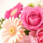 一番簡単な運気アップ方法！お家に「花」を飾ろう