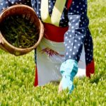 八十八夜は物事の種まきにぴったりな開運デー！新茶で殺菌作用も【2021年は5月1日】