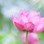 使いっぱなしはNG！自分を取り巻く「モノ」の浄化方法