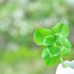 【2020年下半期?】4～6月生まれの人の運勢は？