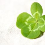 【2021年上半期?】1～3月生まれの人の運勢は？