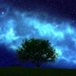 2019年を占う12星座の物語9【射手座】