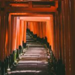 なぜ今電話占いが人気を集めているのか