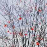 3月は梅の見頃！梅の花言葉や風水的な意味を紹介