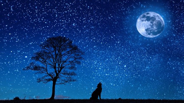 両片思いになりやすい星座と脱出する方法2つを紹介！