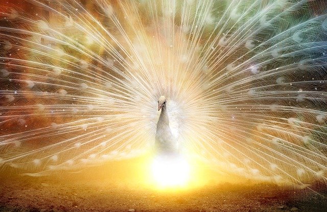 【数秘術・番外編】イヤーナンバー「33」は運命の年！運勢や過ごし方まとめ【ゾロ目・マスターナンバー】