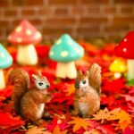 【2022年】11月の開運日はいつ？今年最後の天赦日は要チェック！