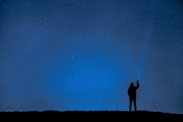 11月18日が極大！2022年のしし座流星群で運気上昇