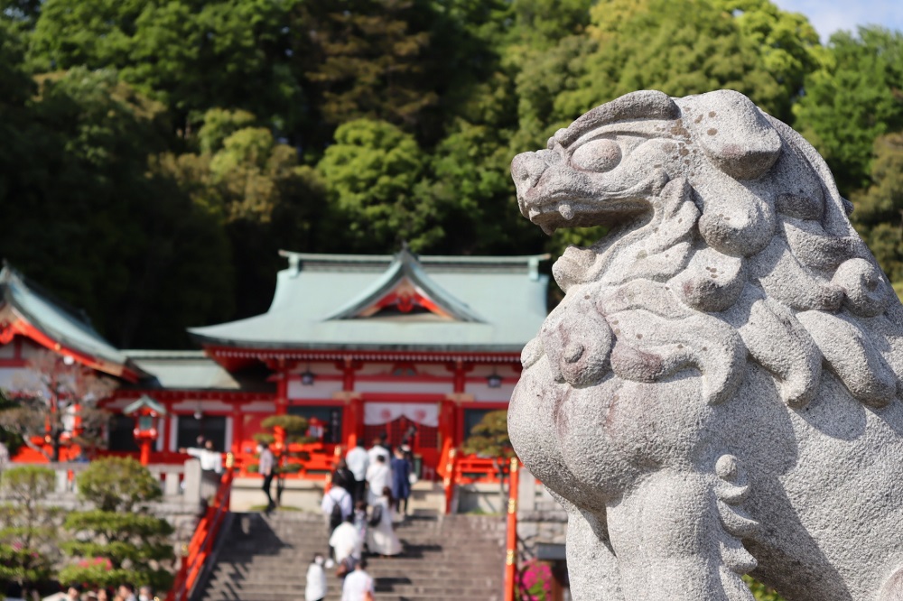 厄年は何をしてもダメ？2023年厄年早見表と厄年にすべきたった3つのことを紹介