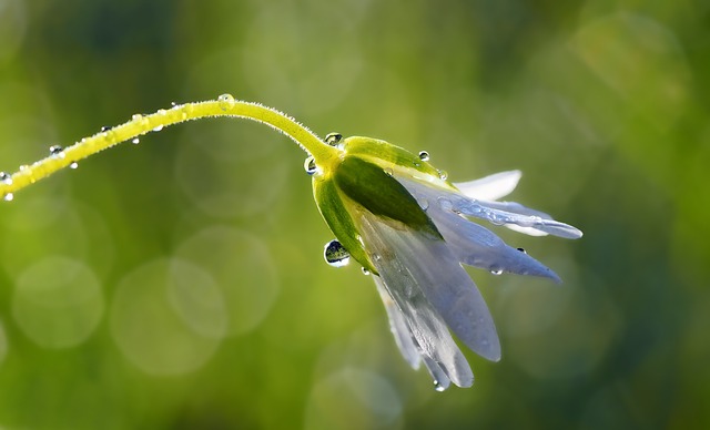 暦に沿う暮らし②雨水