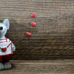 告白が成功しないのは、好きを伝えるのが早いからかも？最適なタイミングを解説！