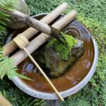 暦に沿う暮らし⑫大暑