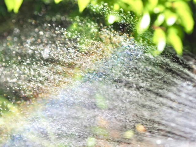 暦に沿う暮らし⑫大暑