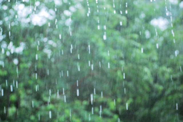 暦に沿う暮らし⑫大暑