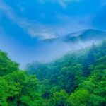 暦に沿う暮らし⑬立秋