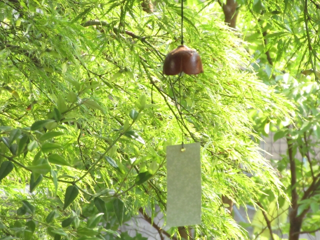 暦に沿う暮らし⑬立秋