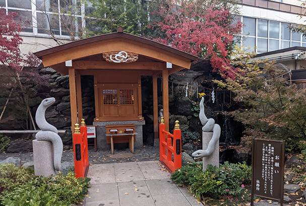 【蛇窪神社のご利益】白蛇のパワーで金運アップ！スピリチュアルな意味も解説