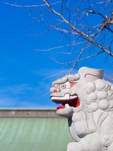 神社の狛犬について