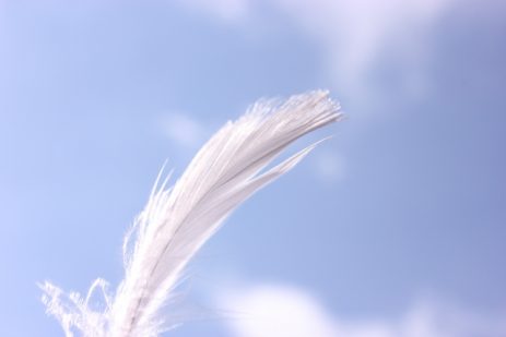 夢占い ? 空を飛ぶ夢の意味とは？