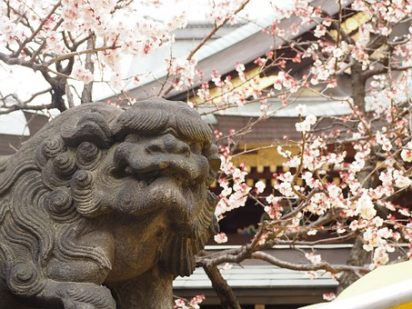 神社の狛犬について
