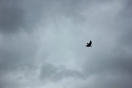 夢占い ? 空を飛ぶ夢の意味とは？