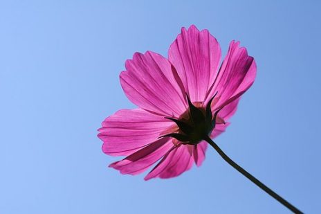 世界平和の合言葉！「ワンネス」について