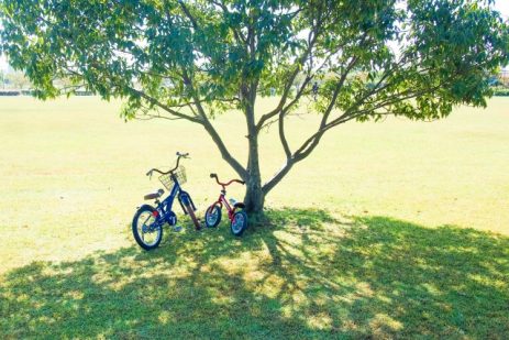夢占い－公園の夢は何を意味するのか？