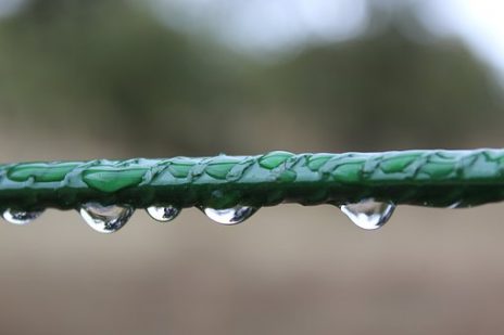 雨女（あめおんな）を信じる？迷信なのでしょうか？