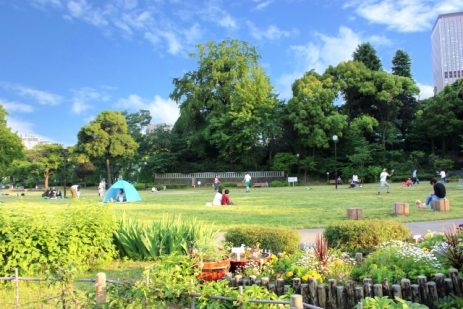 夢占い－公園の夢は何を意味するのか？
