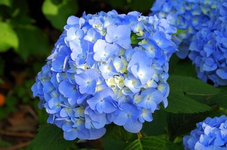 驚異のパワー！伊勢神宮を訪れてみませんか？