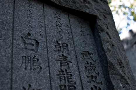 【タロットカード】タロットで読み解く偉人・有名人　４　【貴乃花親方】その４