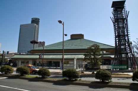 【タロットカード】タロットで読み解く偉人・有名人　１　【貴乃花親方】その１