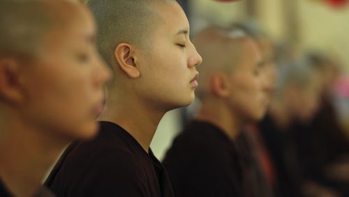 ブッダの教え・仏典ダンマパダをご存じですか？
