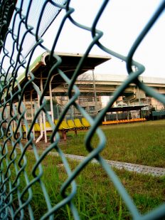 【タロットカード】サッカー日本代表はどうなる？ タロットで占ってみました（３）