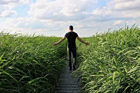 集中力が落ちた！脳疲労が原因かも？