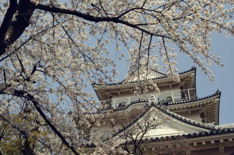 【タロットカード】明智光秀をタロットで読み解く　４