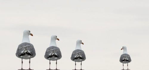 いじめが気になる？職場で立ち向かうために
