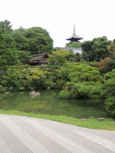【タロットカード】明智光秀をタロットで読み解く　７