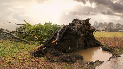 夢占い－嵐・台風の夢は何を意味するのか？
