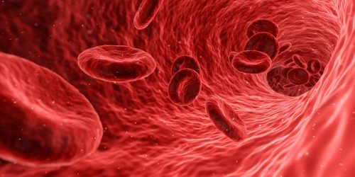 自然治癒力をご存知？驚きの効果について
