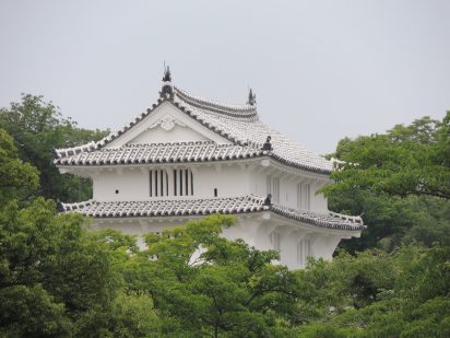 【タロットカード】明智光秀をタロットで読み解く　８