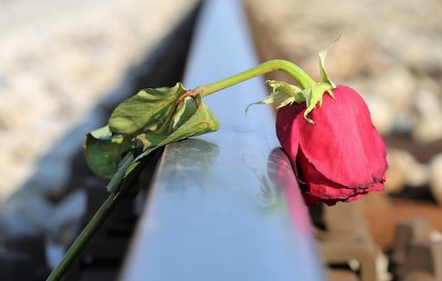 【誕生日占い】6日生まれの性格と恋愛の傾向は？