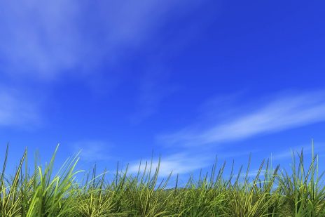2019年の仕事運を上げる待ち受け
