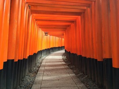 今年を占う？おみくじの種類について